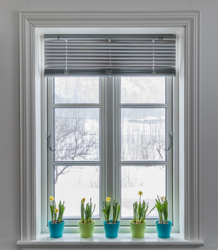 Fenêtre blanche avec store plissé et pots de fleurs sur l’appui de fenêtre